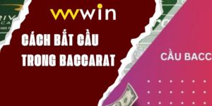 cach-bat-cau-trong-baccarat-vvvwin